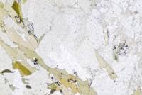 Plagioclase (feldspath) LPNA x20